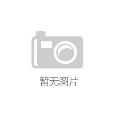 狼道团队智库中国品牌节斩获三项荣誉‘开云app登录入口’
